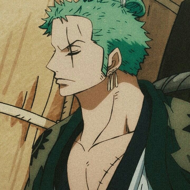 suji. on X: Roronoa Zoro: One Piece  / X