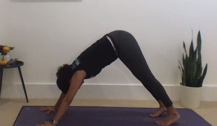 I think we are creating a new tradition for starting #JMPDiscoverySummit conferences: with a yoga session. Thank you @aratimejdal for leading this much-needed breather before the first plenary! #bestconferences #Wellbeing #jmp #SASlife