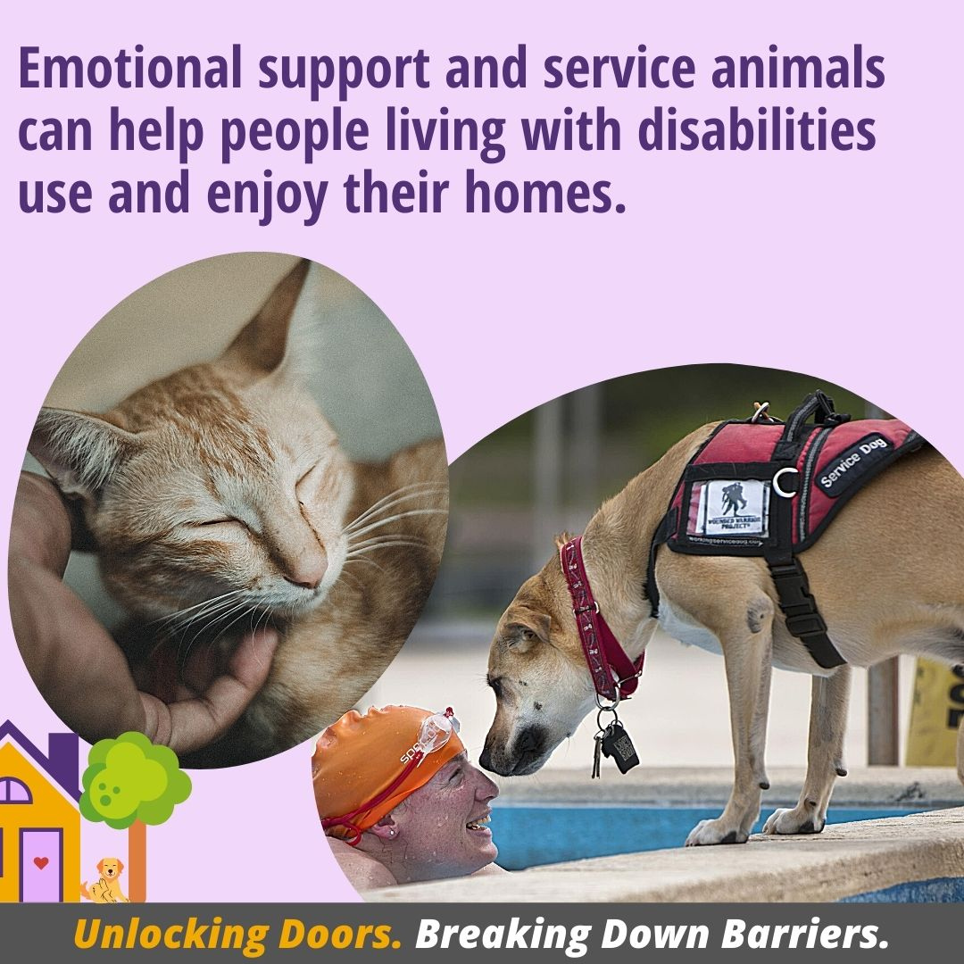 NYSHumanRights's tweet image. Emotional support and service animals can help people living with disabilities use and enjoy their homes.

#fairhousingmattersny #unlockingdoors #breakingdownbarriers #NY4FairHousing

dhr.ny.gov/fairhousing
844-862-8703