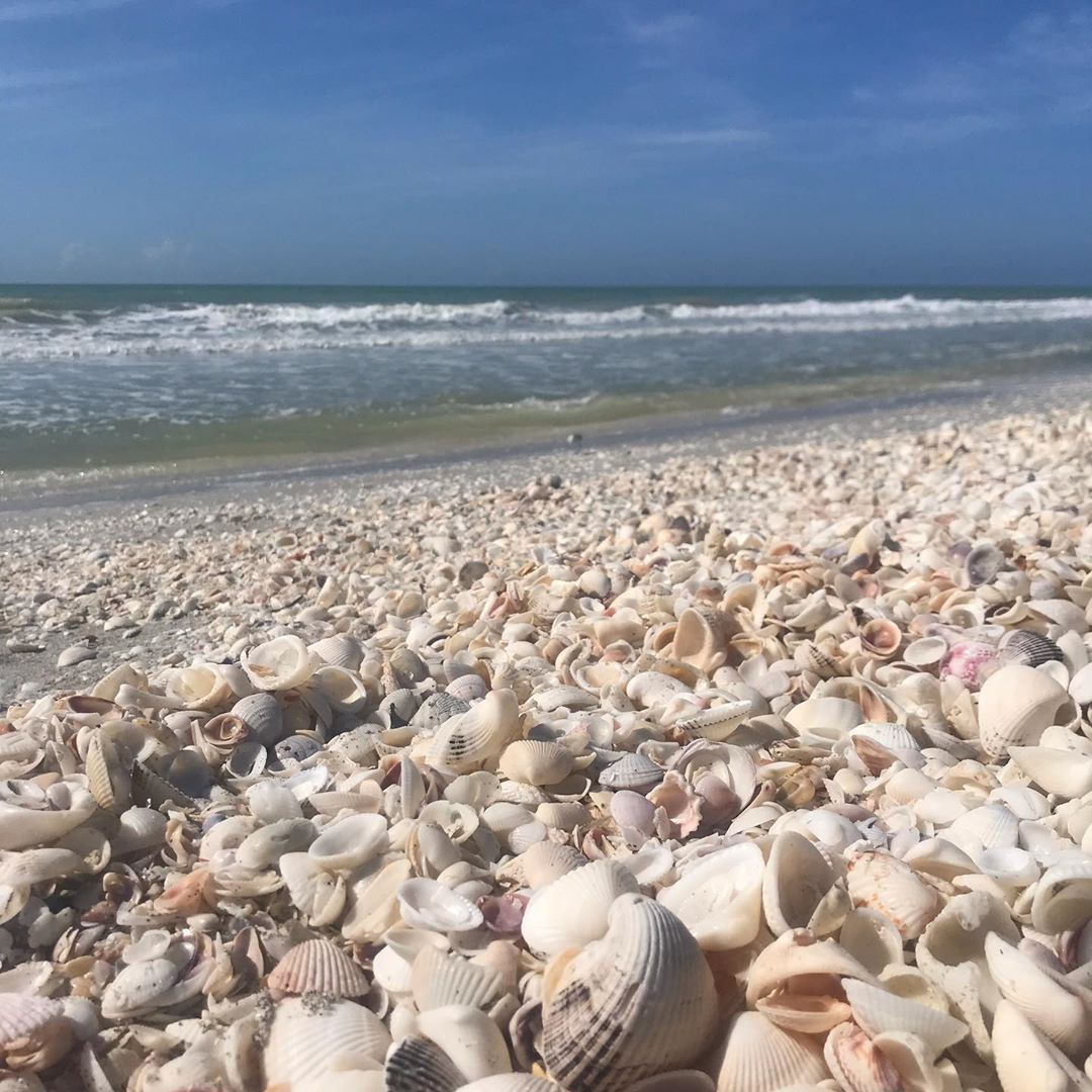 "You don’t have a life, you are life." 🐚 #loveyourlife #domore #beachlifemindset
photo: <a href="/swfbeachlife/">Brenda V</a>
#sanibelisland