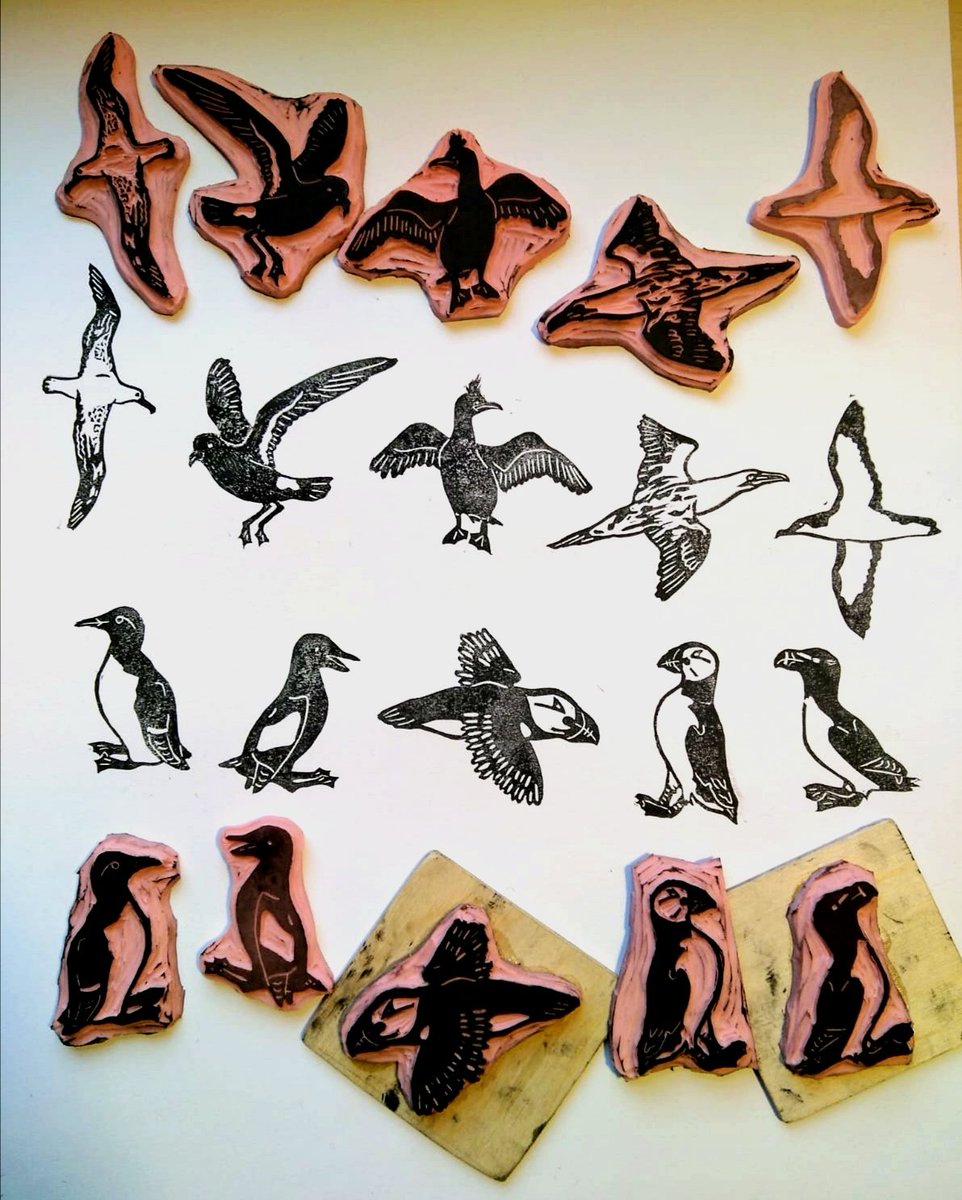 EllaLillyy's tweet photo. I have finally reopened my etsy shop and have added a few new marine mammals to my stamp collection 🐋🐧 Will be adding tote bags at the end of the week! https://t.co/yjku2V4p58