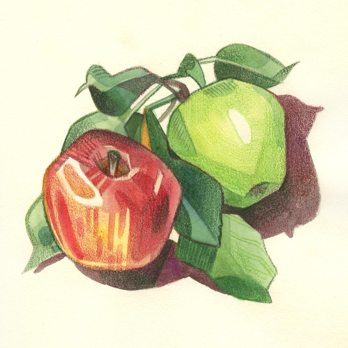 audreydraws's tweet photo. Hello #PortfolioDay ! I’m Audrey, an illustrator and designer based in Southern California. I love creating illustrations featuring animals and nature. I’m available for freelance projects!

✨ https://t.co/cDNlNCW0LZ
🌴 aisaacson.creative@gmail.com 
🌿 https://t.co/eTzhnZs1MO https://t.co/XocjVwaJIS