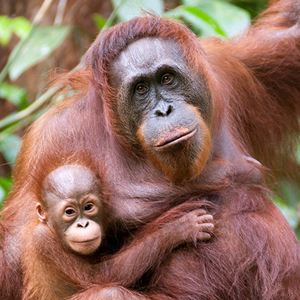 PCBeauty's tweet photo. This is why I love working with #Medik8 Never testing on animals, clean oceans, preloved glass and recycled plastic AND 100% palm oil free.  Exactly what we want from our skincare. 💕

https://t.co/tLNmkRanjW https://t.co/Q7sR7soS16