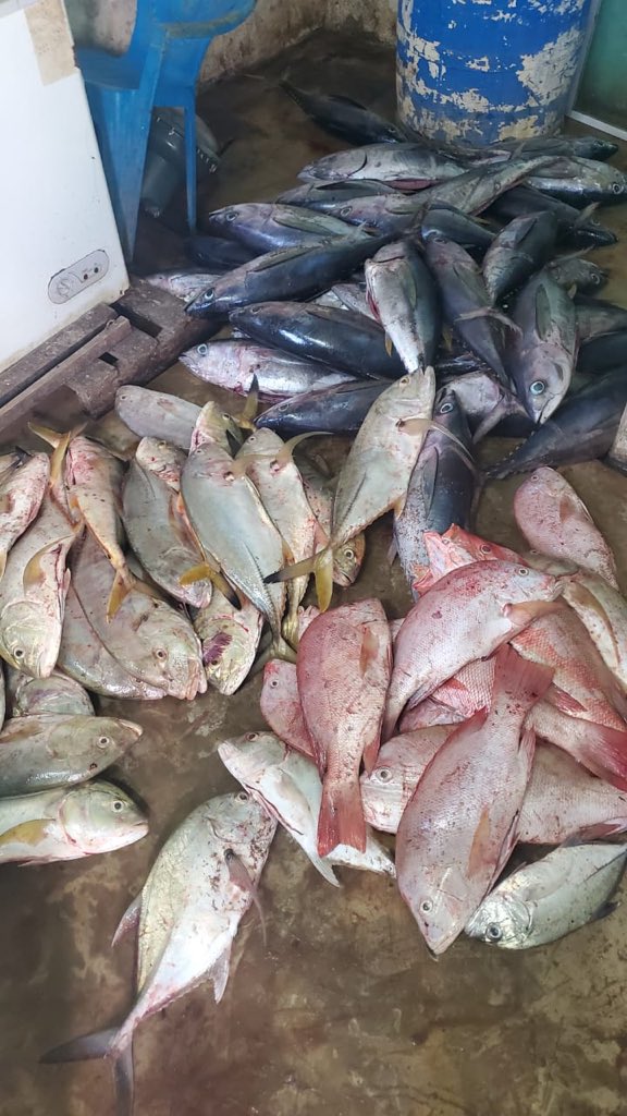 Exploring Lamu tweet media