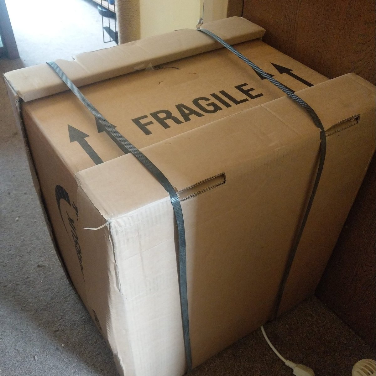 FluffySpaceCat's tweet photo. New computer is here ๐ป๐ป๐ป
#FluffySpaceCat #newcomputer #computer #desktop #newdesktop #twitchcomputer #fragile #cantwaittoopenit #timetobuild #building #twitch #overclockersuk https://t.co/tRxlH4Pj5K