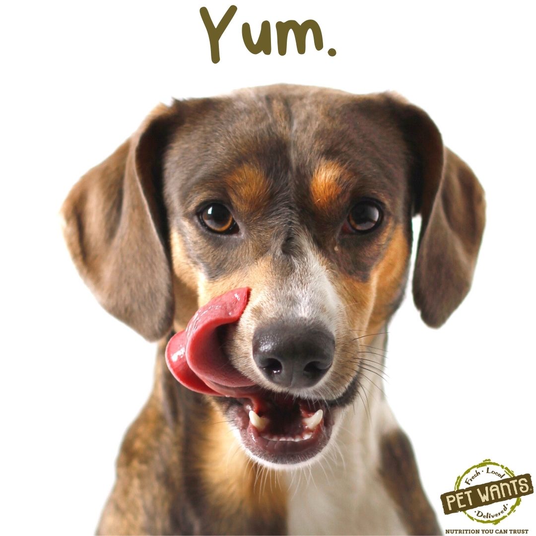 PetWants's tweet photo. It's #NationalPetWellnessMonth 
..
Your pet's diet is so important to their overall happiness and health. Choose nutritious, small-batch Pet Wants pet food. We never add fillers, corn, soy, wheat, or animal by-products. Just all the delish nutrition your pet wants! YUM! https://t.co/YbJf0ohYKG