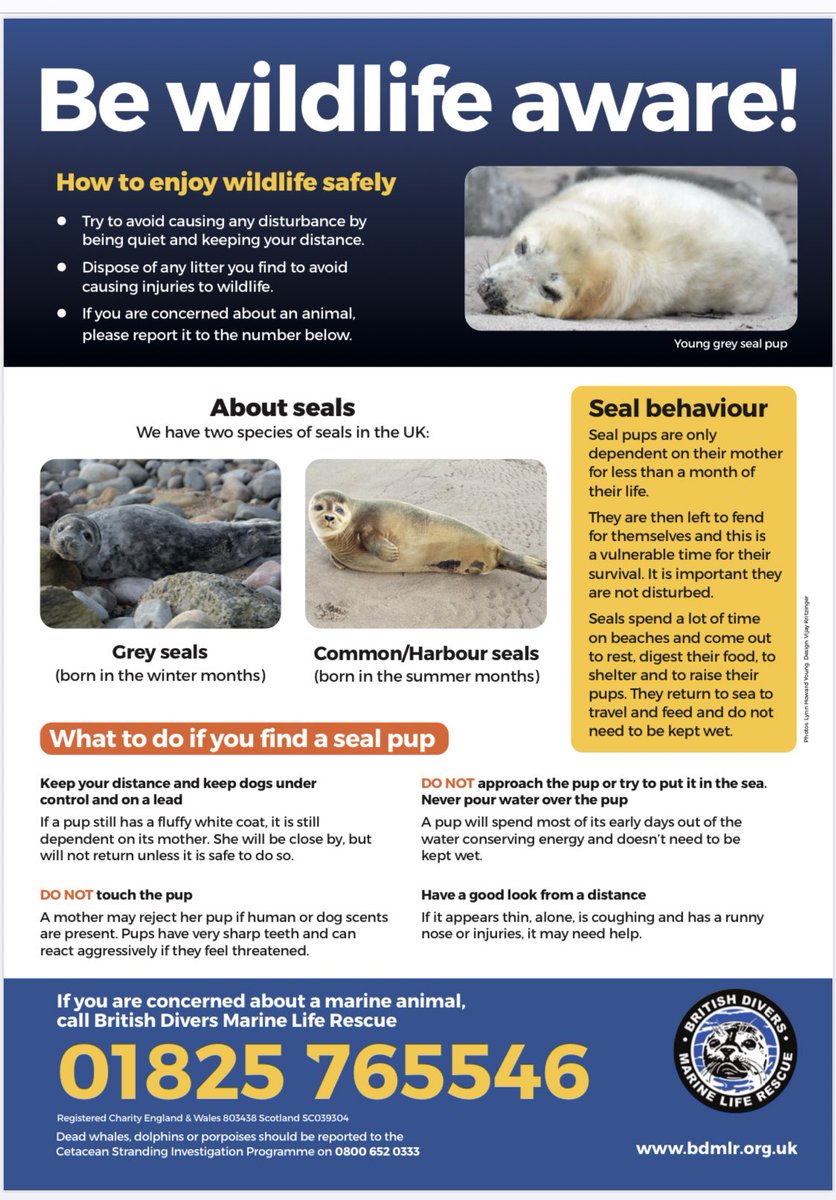 We’re lucky enough to live next to one of the largest seal colonies in the country. Grey seal pup season starts this month so here’s a helpful poster from Mrs Osman and her @BDMLR colleagues to help us understand what to do if we find a seal on our beaches #wildlifeawareness
