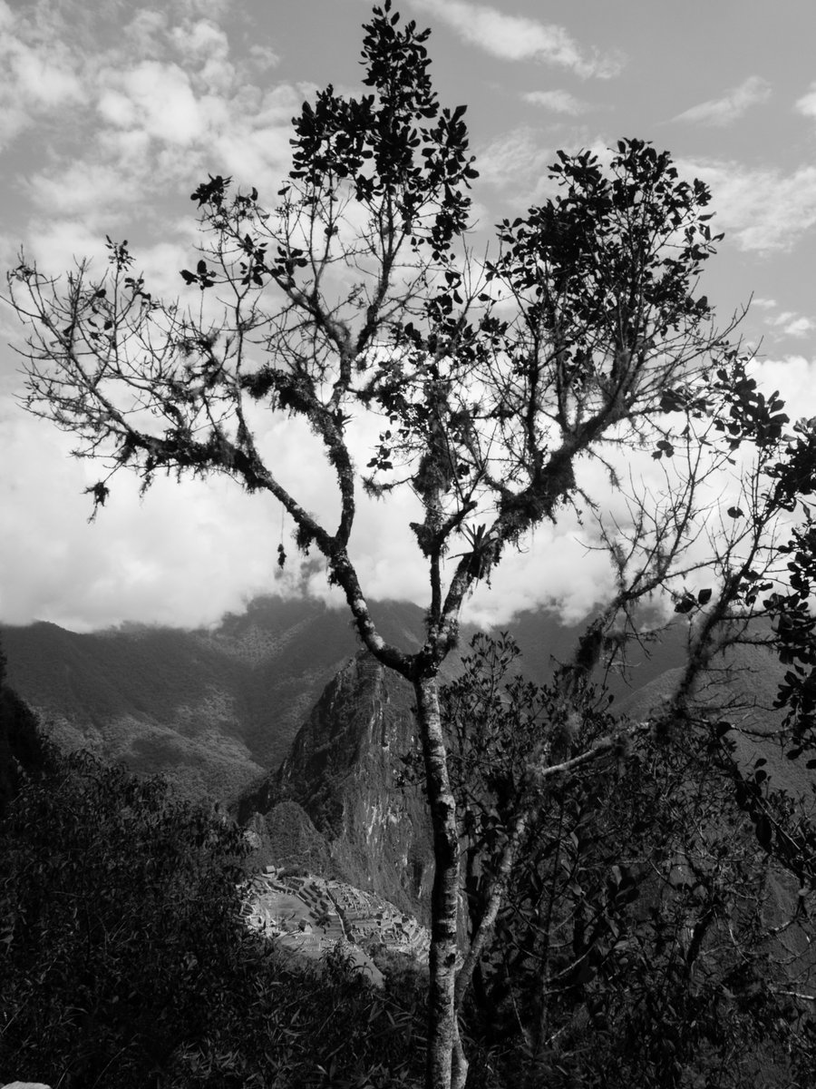 AboutIncaTrail's tweet photo. The first views of Machu Picchu from the Inca Trail #incatrailperu https://t.co/k43kZ3o86J