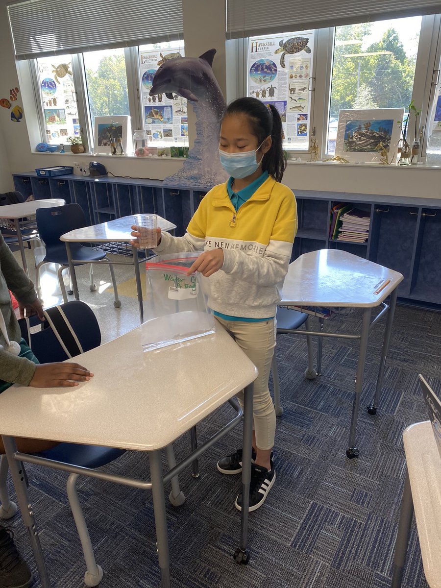 Keywest171's tweet photo. Water Cycle in a Bag! 5th grade at Westside is loving all these water cycle models! Science is awesome! @WestsideVCS @ElemSci https://t.co/or82DoEWv8