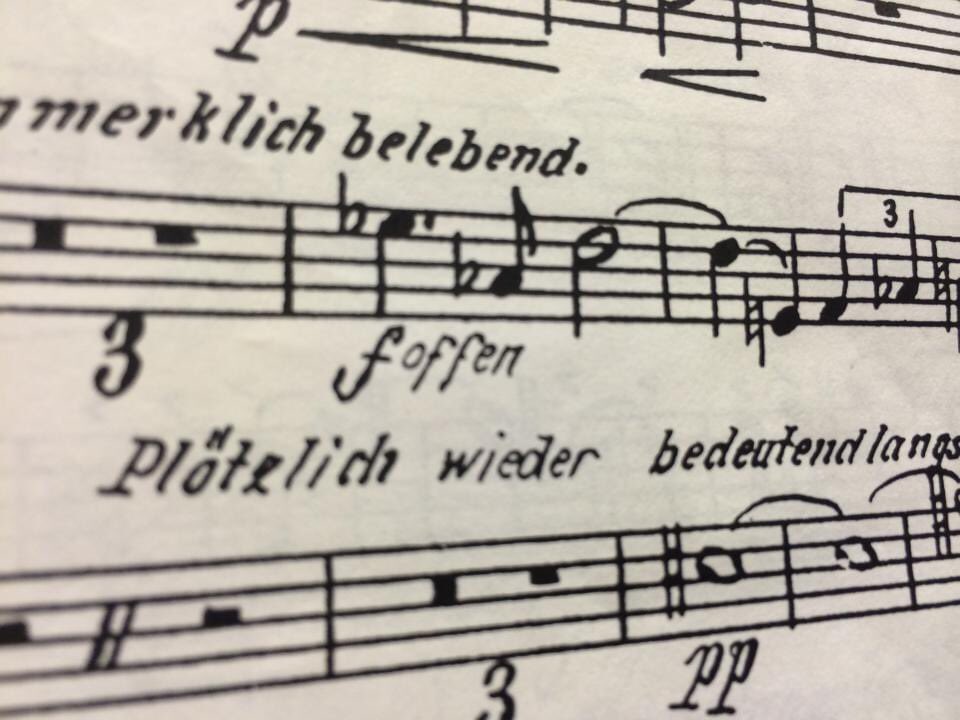 Come here “foffen”?

#musicianhumor
#Mahler