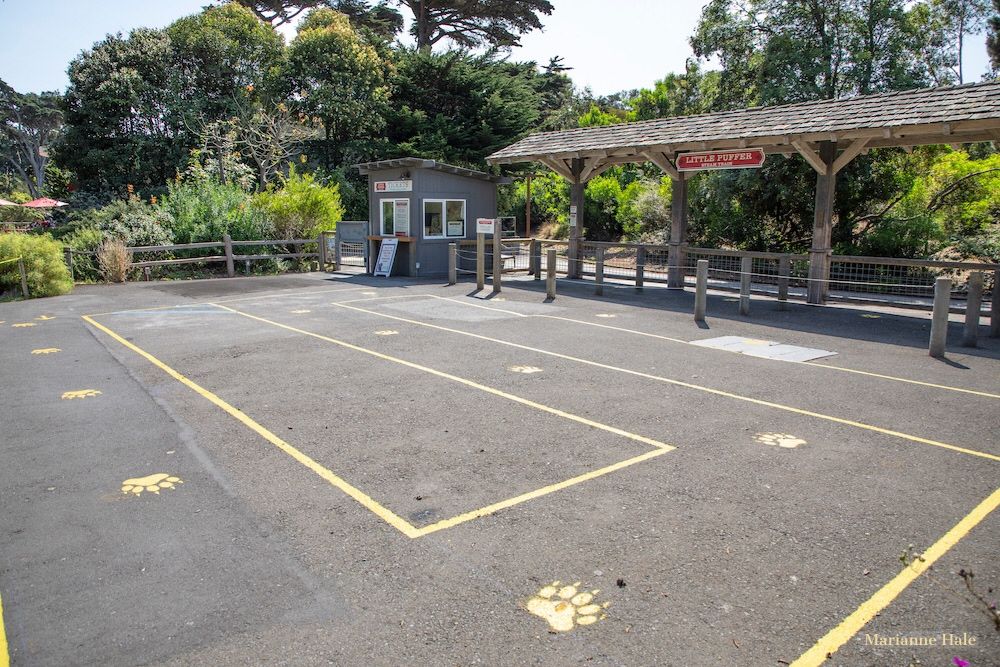 With the Little Puffer reopening, staff &amp; guest safety is our priority. New protocols include a line queue with paw prints 8 feet apart &amp; 18 rider capacity (normal is 42). Thanks in advance for your cooperation &amp; we look forward to welcoming you back for a ride!