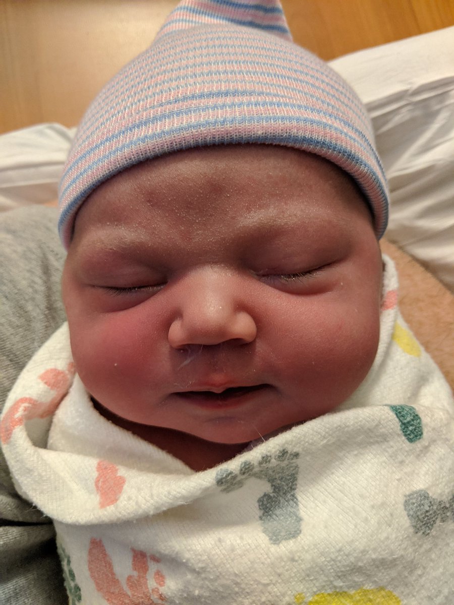 Matt Oswalt tweet media