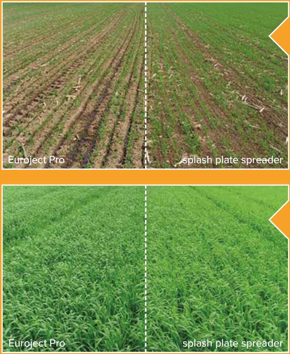 AgriIndustry's tweet photo. These photos were taken a month and show the effectiveness of #nitrogen uptake with the Euroject Pro #Slurry Injector vs a #SplashPlate spreader. Not only is it better for the #environment and futures your #farm for new legislation, but your yield will improve https://t.co/IRd6AOvbt0