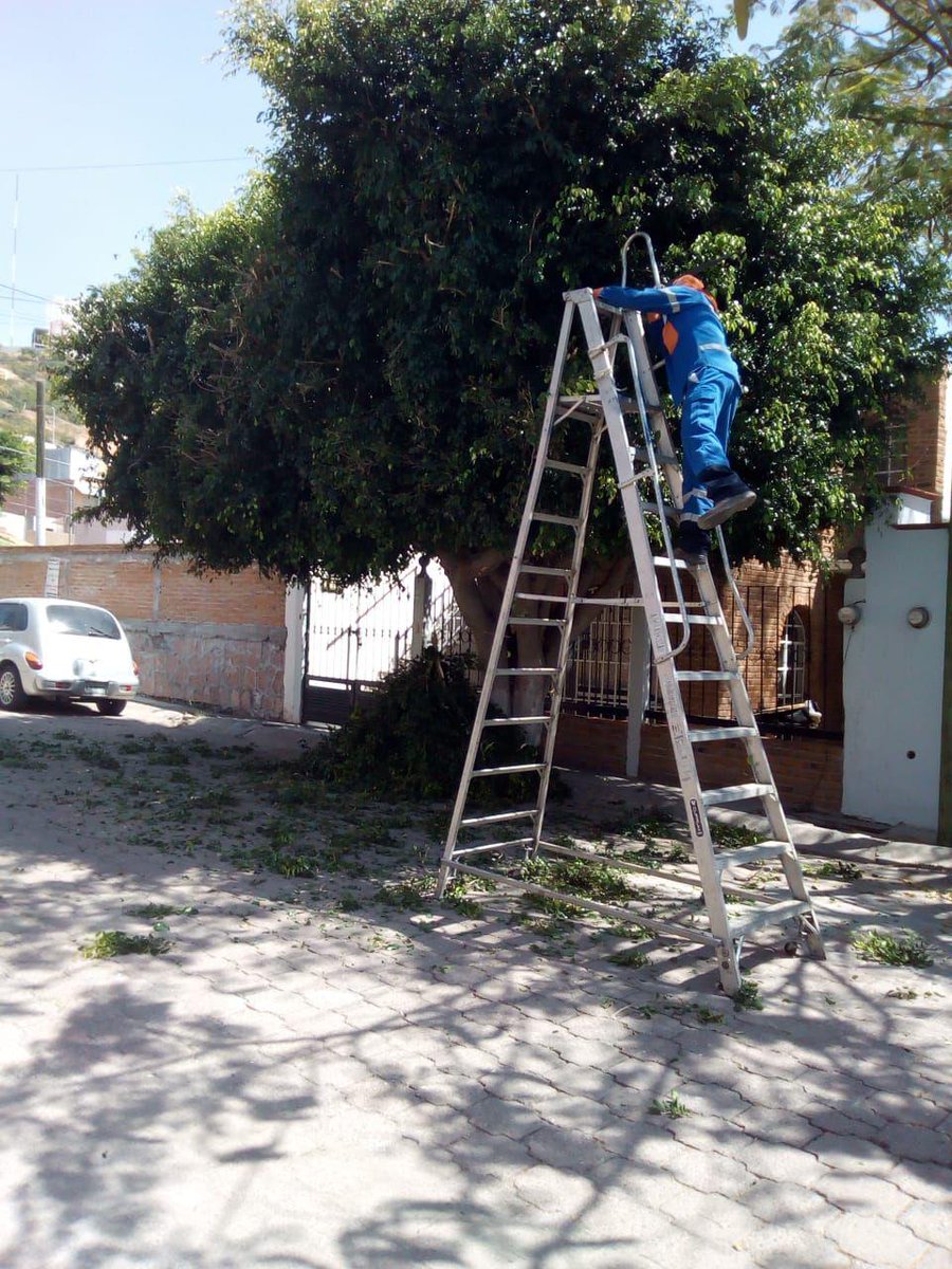 LuisBNava's tweet photo. Con Servicios Públicos eficientes, nuestra ciudad se mantiene en las mejores condiciones. Apóyanos con tus solicitudes al ☎️ 070 o 4422387770 y con gusto se le dará seguimiento. https://t.co/jz9ASDQaAS