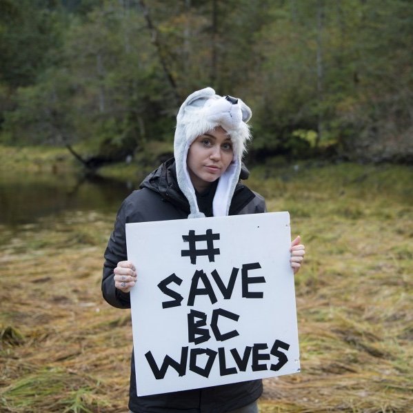 In September 2015, Miley spoke against British Columbia's controversial wolf cull, asking her Instagram followers to sign a petition to stop the killings. "We can't let another winter pass us by without stopping this mass extermination!"