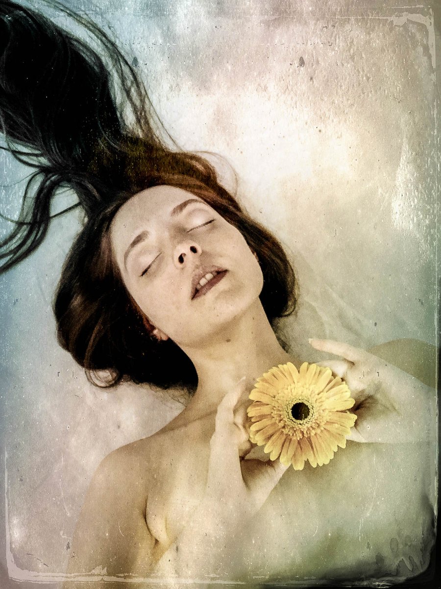 diana_therose's tweet photo. Flora Arcana project, by #MárioPires
#Model #DianaRosa #Photography #FloraArcana #FloraArcanaProject #photoshoot #photomodel #artisticproject #verylonghair #goddess #muse #musing #renaissance #preraphaelite #ophelia #flowers #flowerlovers #lying #magical #enchanted #romantic https://t.co/VVCITNV7eN