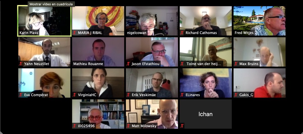 Maria J. Ribal tweet media