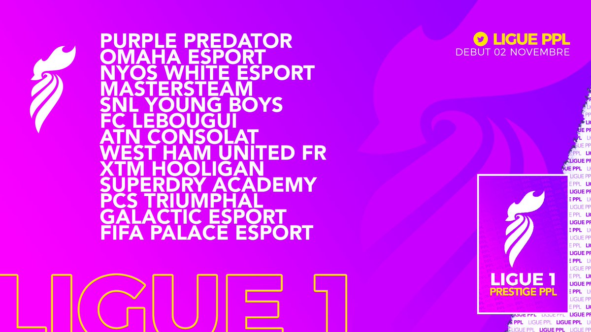 Voici nos 13 participants de la Ligue 1 Prestige PPL !
Merci pour votre confiance !
Début : 02 Novembre 2020.

Bon championnat !
#esport #esports #FIFA21 #ps4