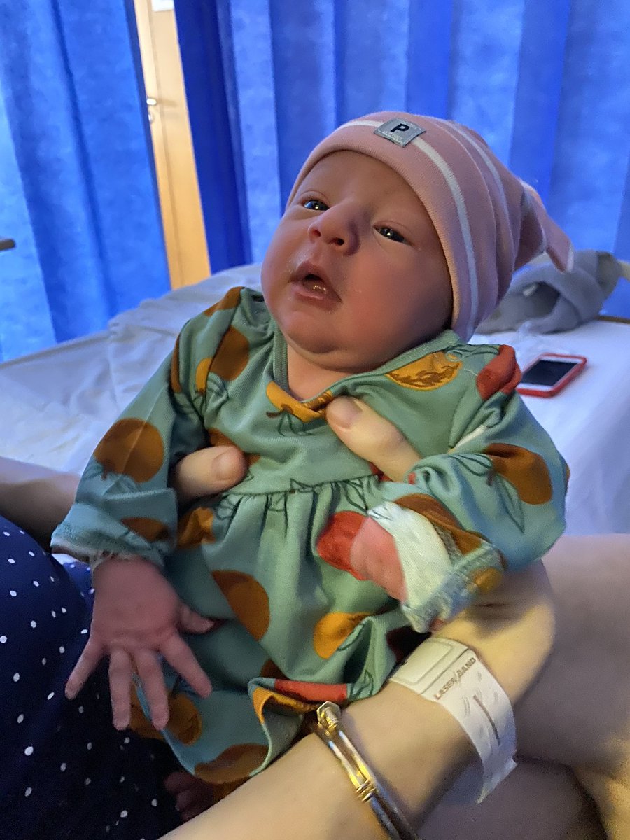 𝕻𝖆𝖉𝖉𝖞 tweet media