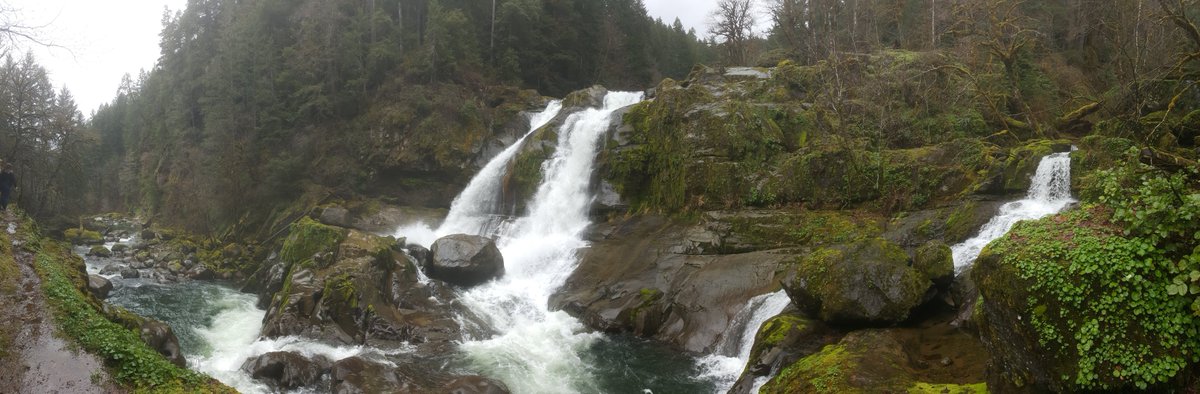 ForestServiceNW's tweet photo. We're hiring our seasonal work team for the 2021 summer season! Learn about one particular location where you could work next summer in Powers, Oregon: 

https://t.co/SpN9FlGqoG https://t.co/u6Gmp5wywy