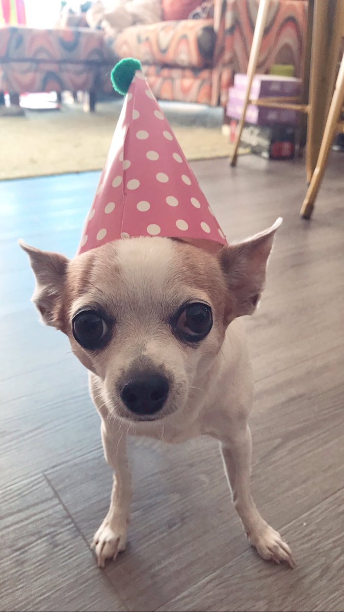 LauriceDeeb's tweet photo. My baby is 7 years old today 🥳 #HappyBirthday https://t.co/r1W81Slxnc