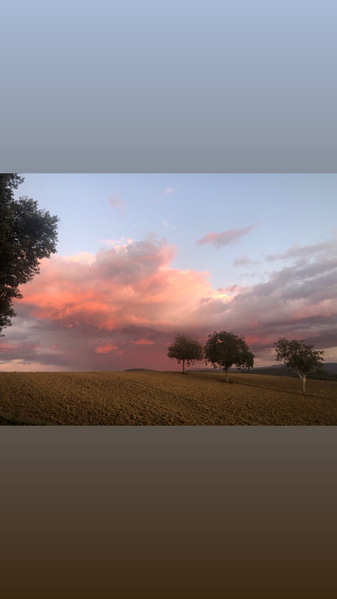 craeschofield's tweet photo. Good evening! https://t.co/SO88a0I9wK