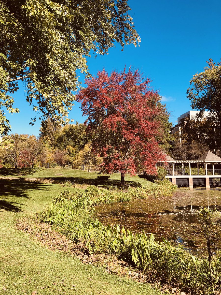 Christina Labas tweet media