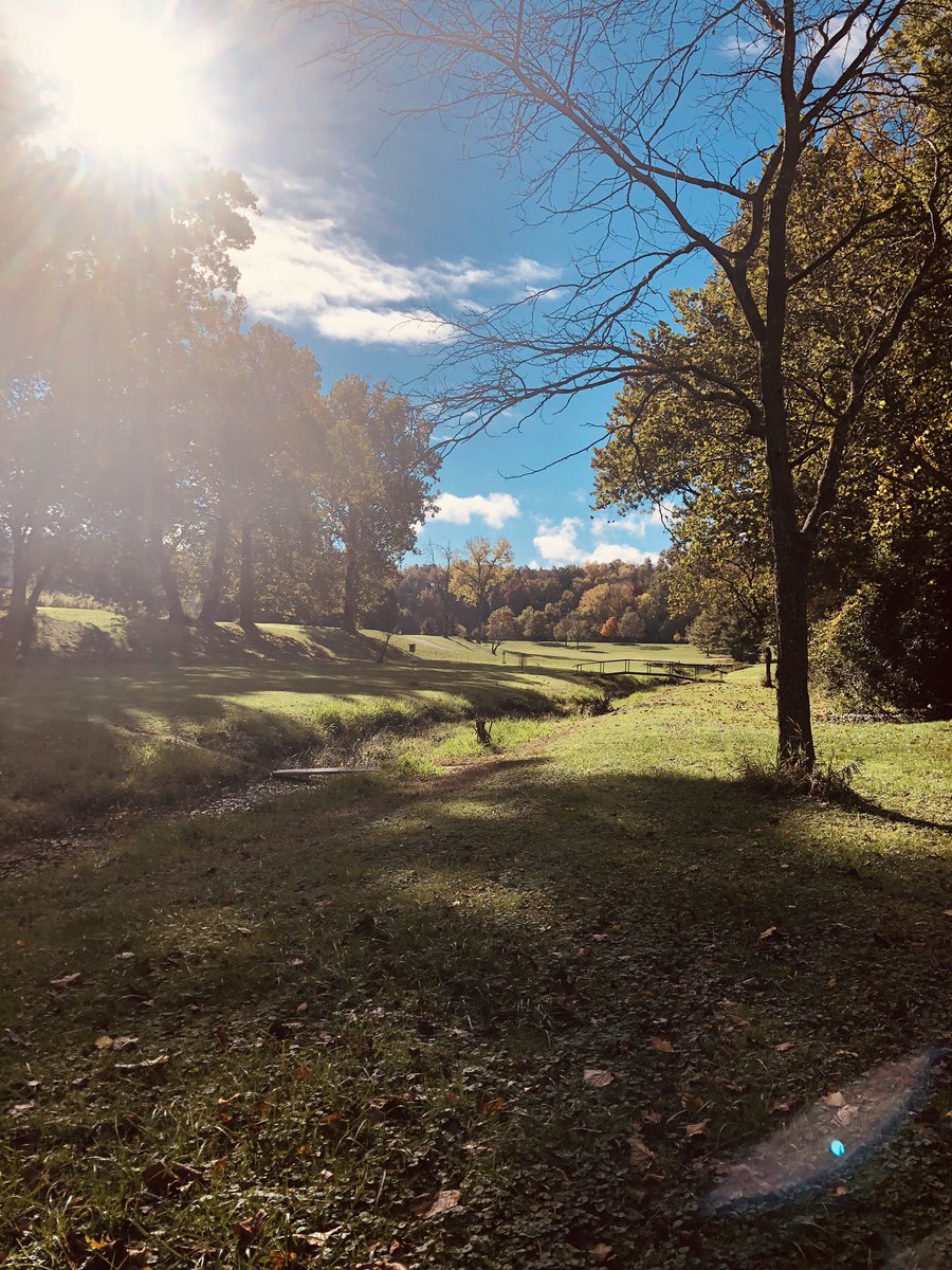 Christina Labas tweet media