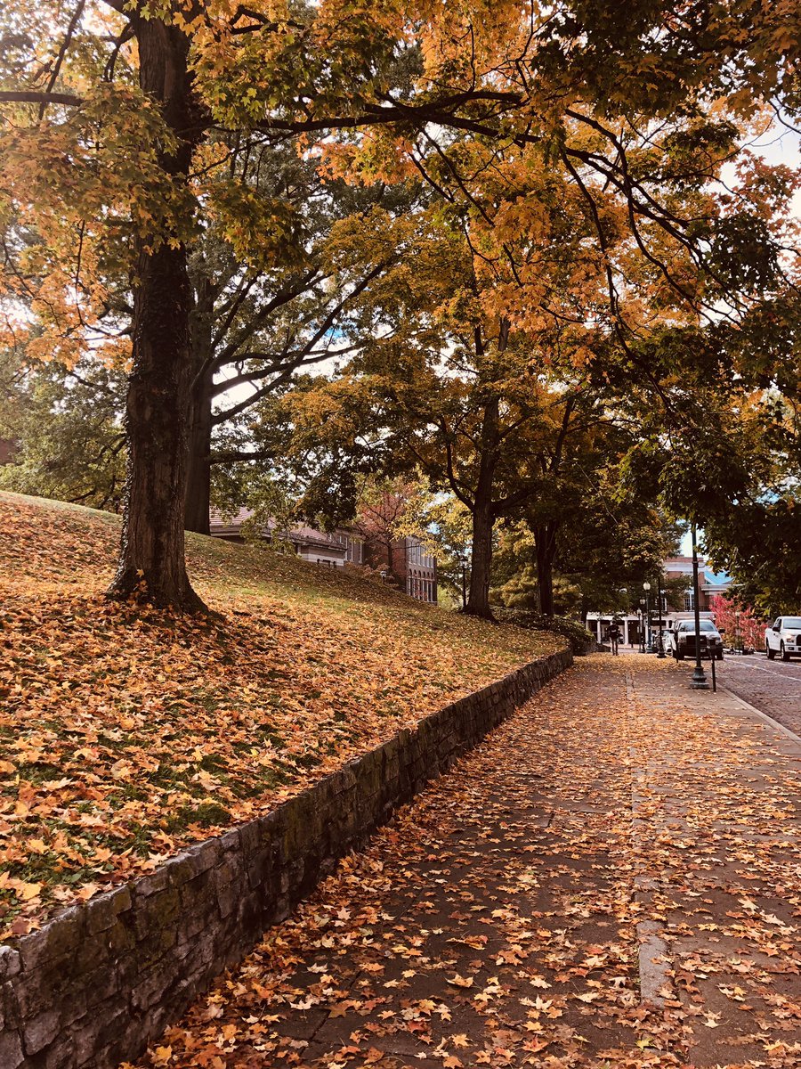 Christina Labas tweet media