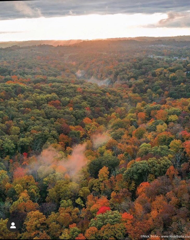 Christina Labas tweet media