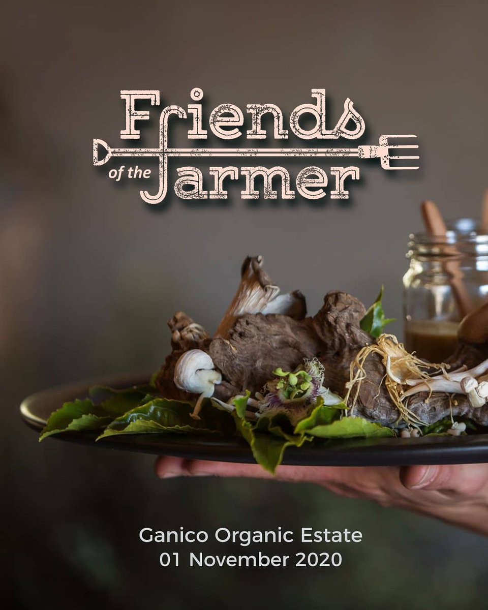 Join our event happening on the 1st November