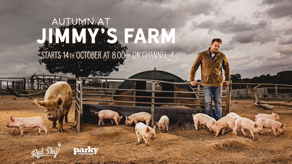On tomorrow! 📺 🍂#AutumnAtJimmysFarm 🍂8pm @Channel4 with @jimmysfarm #piglets #autumn #escape #rarebreed @JimmysFarmHQ