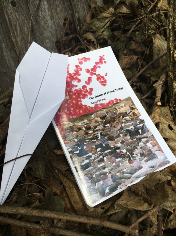 broadsidedpress's tweet photo. Kali Lightfoot writes in #BroadsidesToBooks: "...A reader might assume that Gabriel Welsch’s (@gabrielwelsch) book, "The Death of Flying Things," would embody loss, but it is much more a book about change: changes that happen in a moment or in a lifetime." https://t.co/OgR05Hb9T2 https://t.co/mw0zOmRnvk