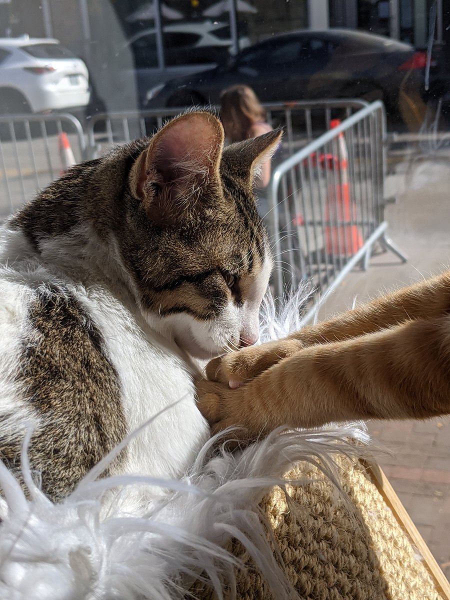 I want what they have