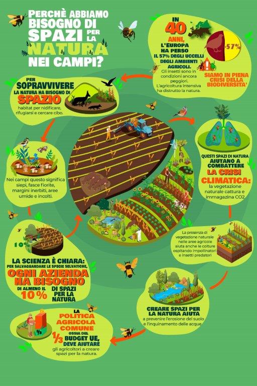 WWFitalia's tweet photo. La nuova #PAC rischia di cancellare il #GreenDeal  Europeo. Per #CambiamoAgricoltura l'accordo tra le maggiori forze politiche del @Europarl_IT sulla riforma PAC è in contrasto con gli obiettivi delle strategie Farm to Fork e Biodiversità 2030 ➡️https://t.co/xZjAup5fic https://t.co/dq2zJK6Crf