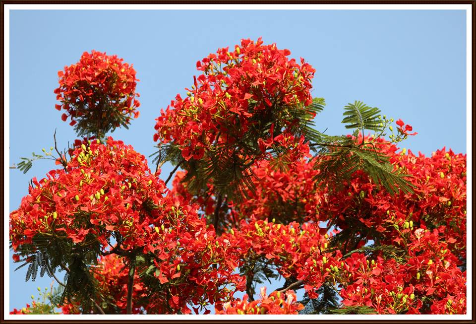 joshisona's tweet image. हवामानखात्यानं मुसळधार पावसाचं भविष्य वर्तवलं होतंच आणि चक्क याने आज ते खरं केलं होतं.   पुढे वाचा 
zcu.io/0E4j