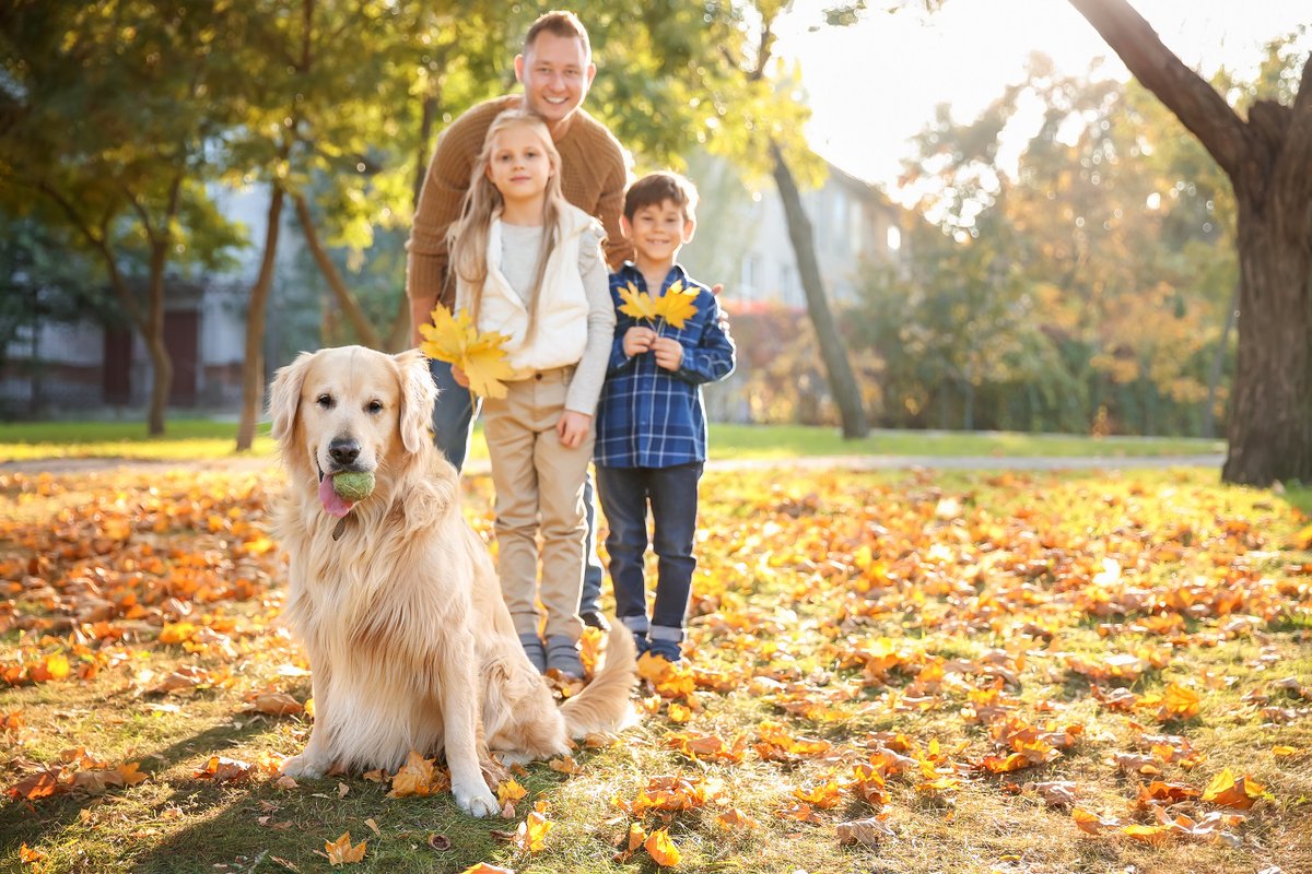 TurfMutt's tweet photo. Your yard is an outdoor classroom. Get outside throughout the day. Take a 20-minute break between classes at home, head out to the backyard and breathe some fresh air. During a lunch break, take a quick visit to the park. #ConnectOutside #Parenting #PandemicLife https://t.co/onL1ZFOFjt