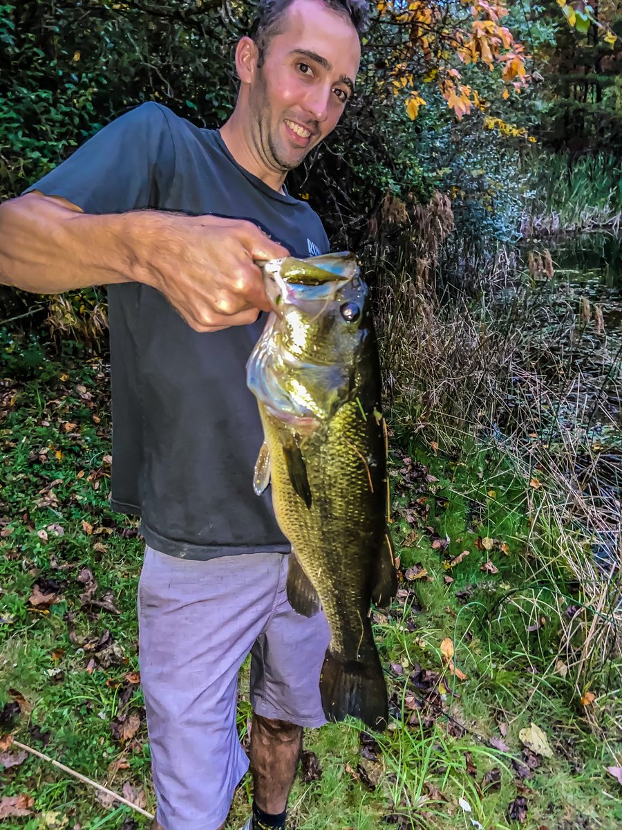 gabehiggs's tweet photo. Worse ways to spend an evening https://t.co/WZtp8XNfuW