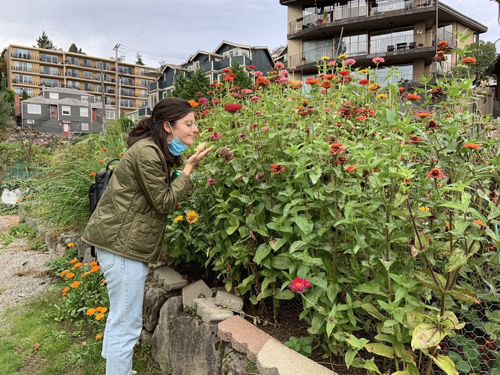 thescalzone's tweet photo. my #KnowYourZone scavenger hunt: is there a public space available to you?
✔️ there’s a p-patch RIGHT next to my apartment 🥺 #ahw2020 https://t.co/WJFrAhqfk3