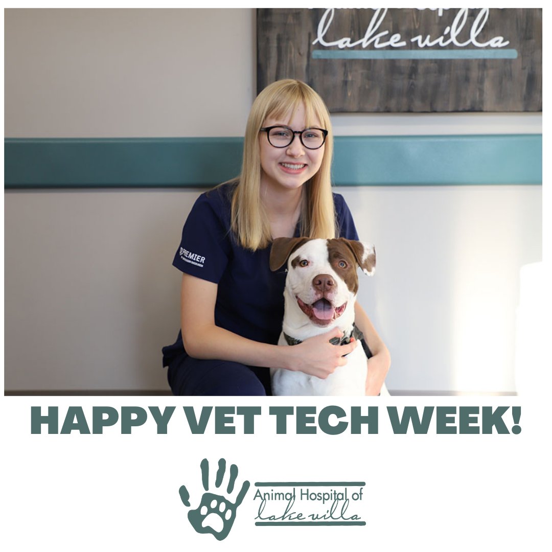 Animal Hospital of Lake Villa (@lakevillavet) / Twitter Animal Hospital of Lake Villa (@lakevillavet) / Twitter