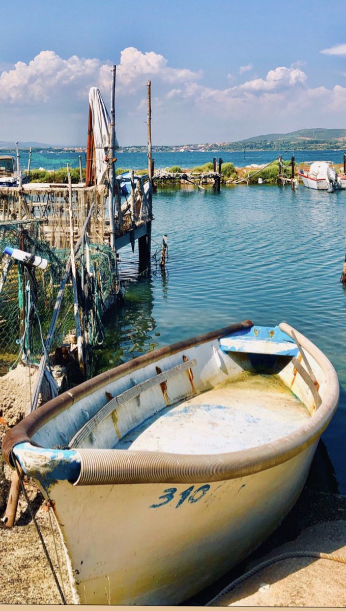 Paduano Valérie tweet media