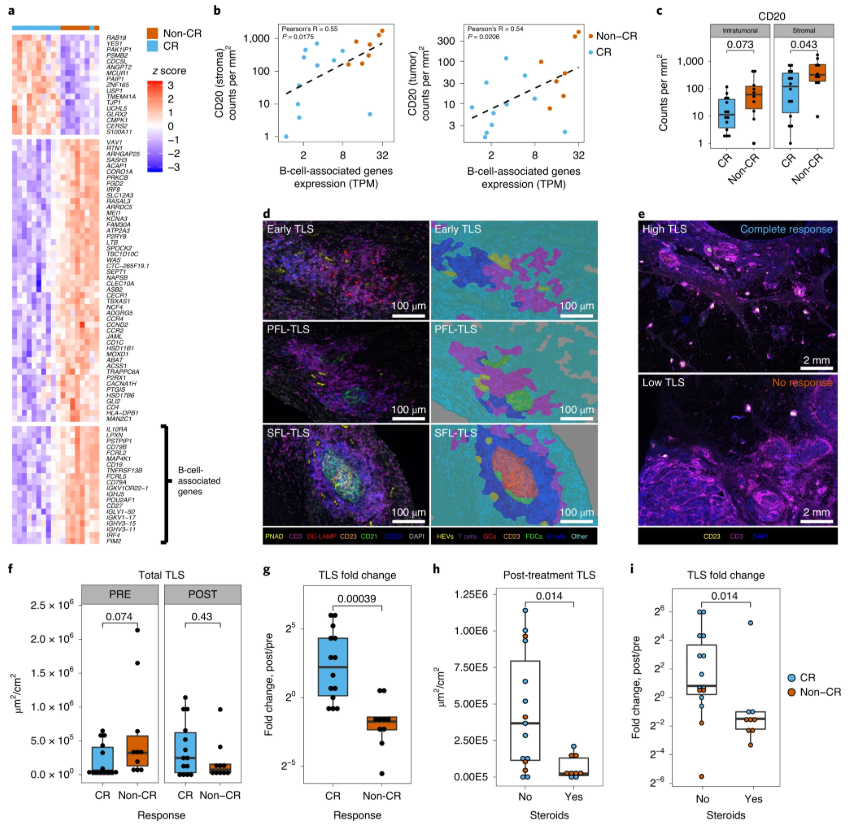 drenriquegrande's tweet photo. ⚡️ RT @NatureMedicine: Neoadjuvant #Immunotherapy combination in the NABUCCO trial achieves high response rates in metastatic #bladdercancer patients and provides molecular biomarkers of treatment efficacy https://t.co/qm1zx20Oks #NMEDClinical https://t.co/esCKBKZY3h