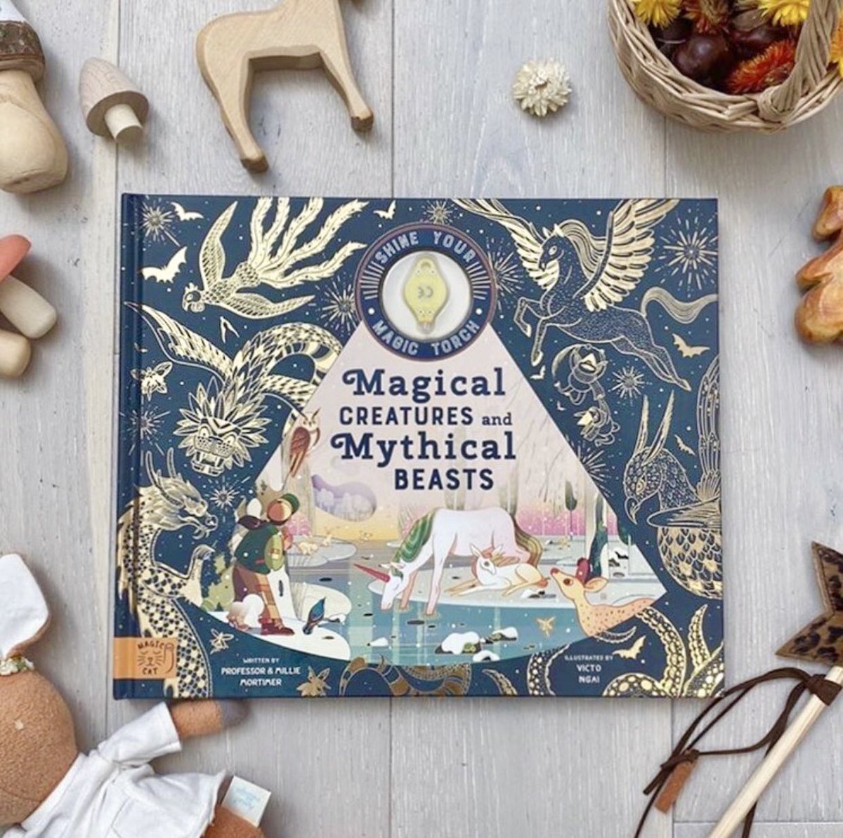 My latest picture book with @magiccatpublishing is coming out in 🇬🇧 on Oct 14th (and in the 🇺🇸 and 🇨🇳 later in the year.) Here’s a beautifully styled photo of the cover by @chloeuberkid 💙 #childrensbook #illustration #victongai #picturebook