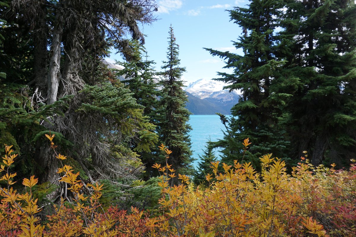 It's shoulder season. It's pouring with rain, and there's only a light dusting of snow in the alpine. But don't succumb to Netflix just yet! Instead, check out my top tips for staying sane this autumn/fall
herwildway.com/2018/11/02/sta…