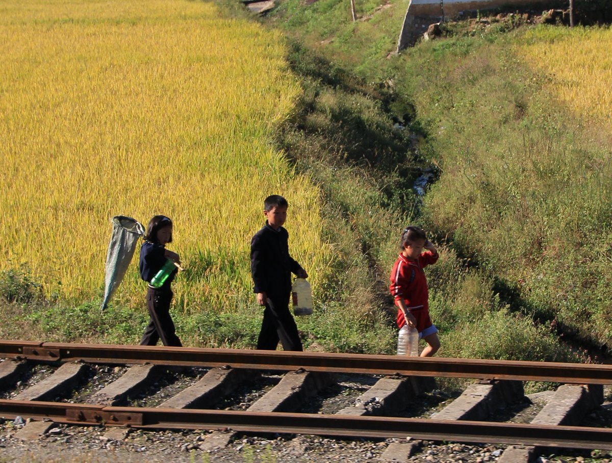 Nordkorea : Szenen neben der Eisenbahn... schon alles sehr anders.