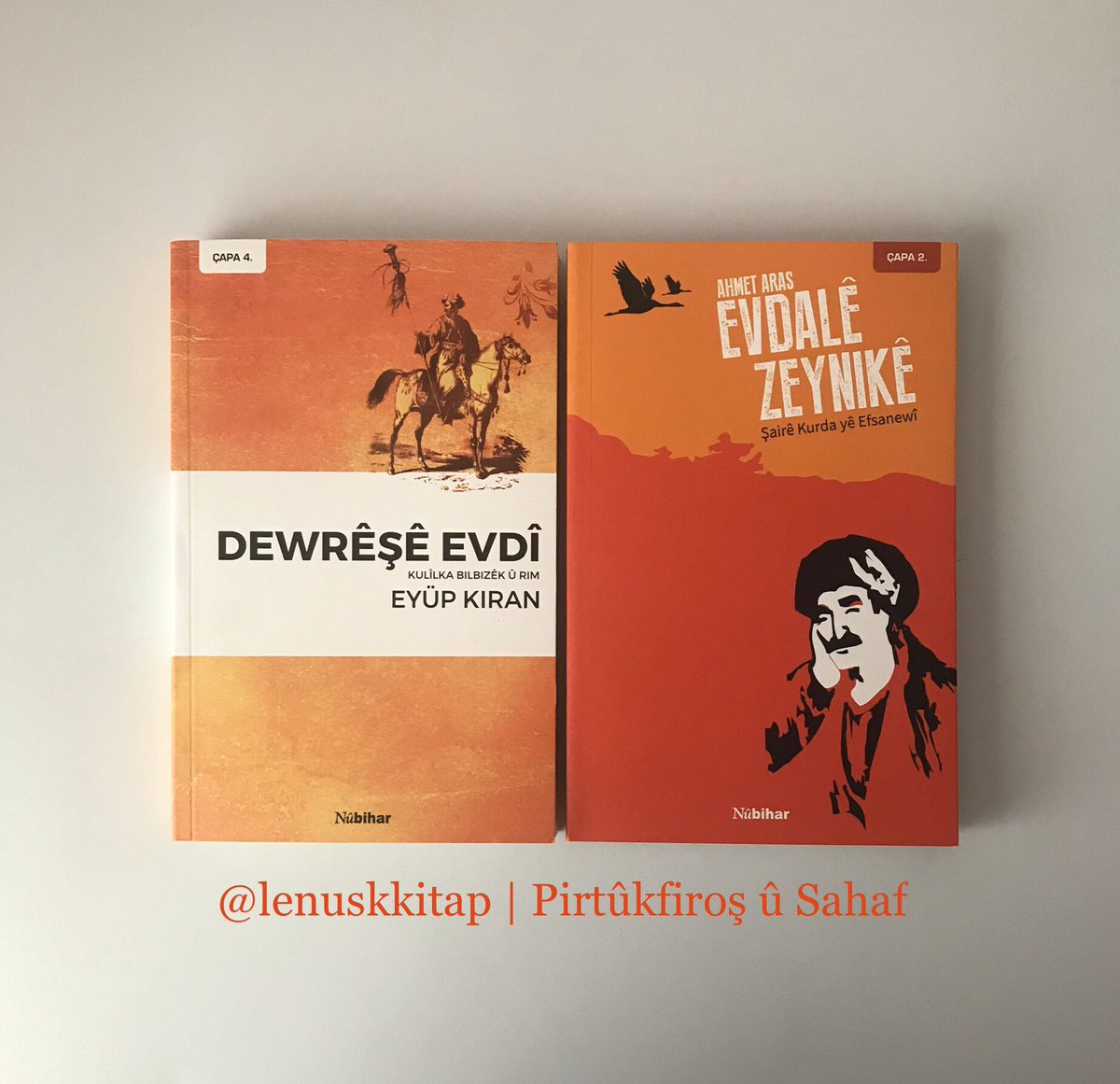 Evdale Zeynike Dr Omer Ulucay Kitapyurdu Com