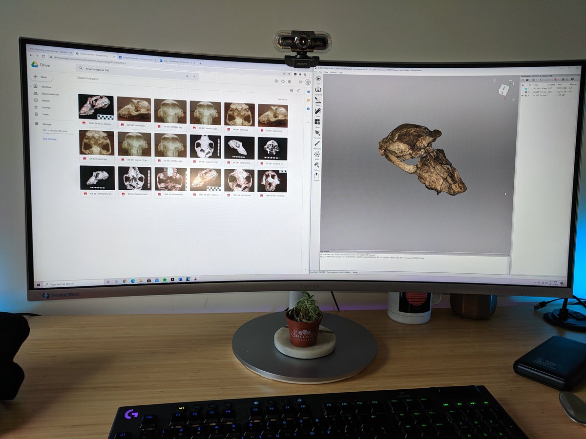 Dagim__A's tweet image. Day 2 of #ScienceAThon Because of the pandemic I can't go to museums to see the actual specimens... So I'm using the next best thing --&amp;gt; surface scans and photographs to study the skulls of fossil monkeys!! 💀🐒 #dayofscience