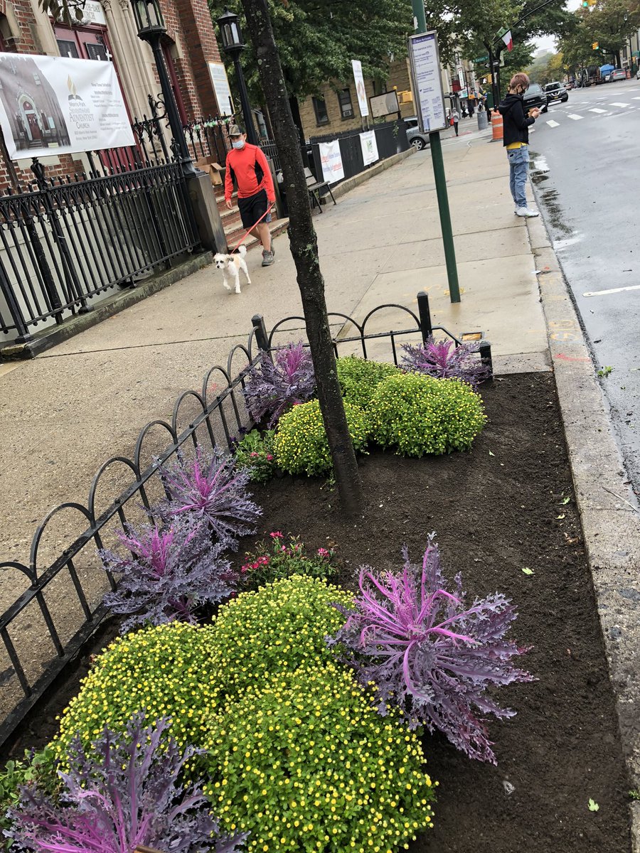 Morrisparkbid's tweet photo. Fall planting on #MorrisPark Avenue.. https://t.co/1BMtlJFbxd