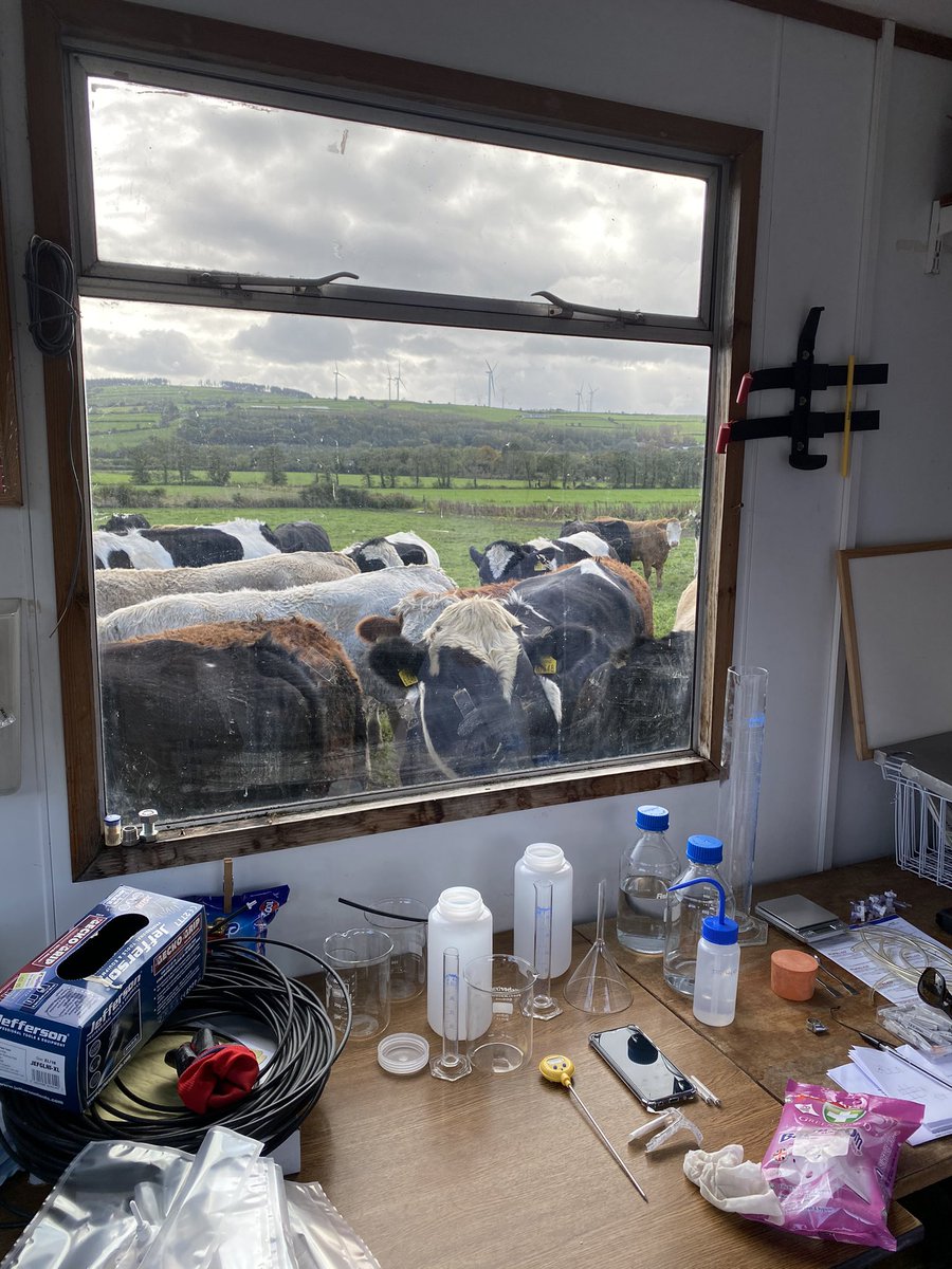 Must be interesting whatever you’re at in there <a href="/drcamcintyre/">Dr Catherine A McIntyre</a> 👩🏼‍🔬 🐄🥛♻️#irishbioeconomy