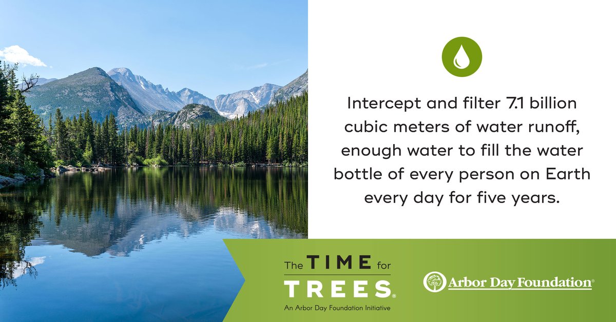 arborday's tweet image. What would 100 million trees do? It would fill a LOT of water bottles. #TimeForTrees

timefortrees.org